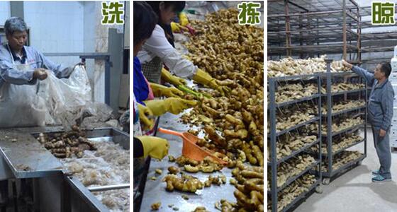 不用硫磺如何清洗生姜？